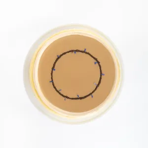 A top-down shot of a Lady M Earl Grey Mille Crêpes on top a white cake stand.