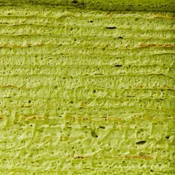 Lady M Green Tea Mille Crêpes close up: layers of crepes and green tea cream.