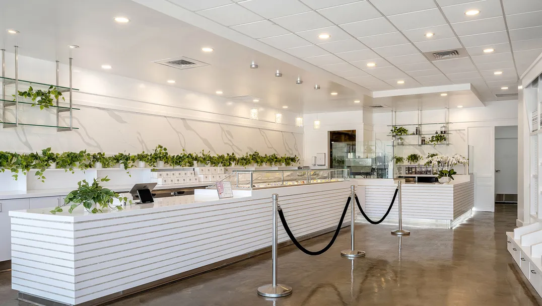 The minimalist white interior of Lady M's Los Altos boutique with horizontal slat counters, black queue barriers, display cases with colorful cakes, and decorative plants. Features bright recessed lighting and polished concrete floors, creating a clean, modern atmosphere.