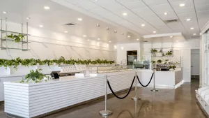 Minimalist white Lady M Los Altos: slat counters, black barriers, colorful cakes, plants, bright lighting, concrete floor.