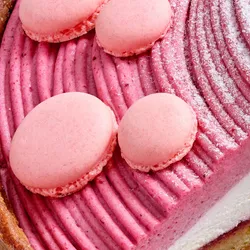 Close up of Berry Mont Blanc Tart highlighting the piping of the four-berry mousse, baby pink macaron shells, and powdered sugar.
