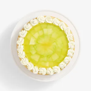Overhead view of Lady M's Charlotte au Melon cake with decorative melon slices and cream border.