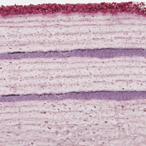 Closeup shot of Lady M's Purple Yam Mille Crêpes showing crêpe layers and purple yam cream.