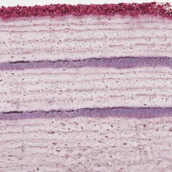 Closeup shot of Lady M's Purple Yam Mille Crêpes showing crêpe layers and purple yam cream.