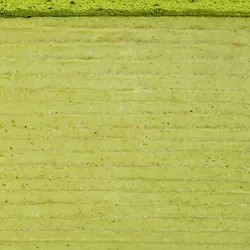 Detail shot of Lady M's Gluten-Free Green Tea Mille Crêpes. Layers of crêpe, cream, and matcha powder.