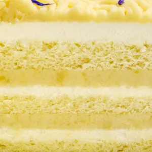 Close-up of vanilla sponge layered with Japanese sweet potato cream