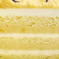 Close-up of vanilla sponge layered with Japanese sweet potato cream